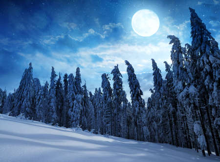 Snowy winter landscape in night. National park Sumava, Czech Republic.の写真素材