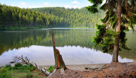 Devil`s Lake ( Certovo Jezero ) in the National park Sumava,Czech Republic.の写真素材