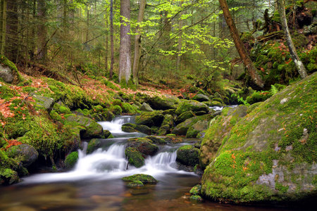Waterfall on Black creek in the National park Sumava,Czechia. 
Mountain stream flowing through the spring forest.の写真素材