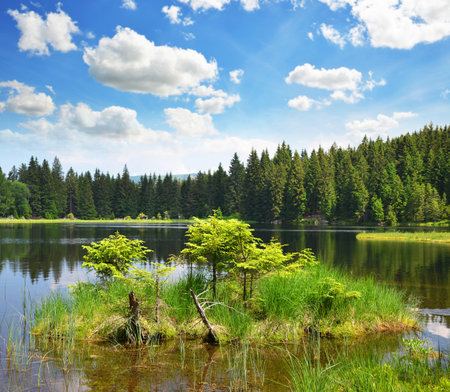Kleiner Arbersee lake in the National park Bavarian forest,Germany.の写真素材