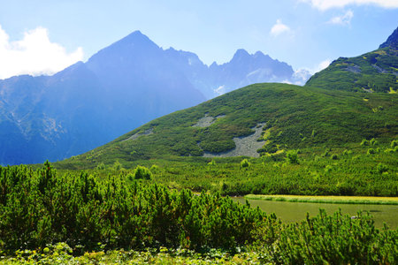 Mountain Kezmarsky Stit in the National Park High Tatras ( Vysoke Tatry ). Slovakia, Europe.の写真素材