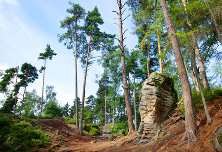 Landscape in nature park  Prachovske skaly, Bohemian Paradise (Cesky Raj), Czechia.の写真素材