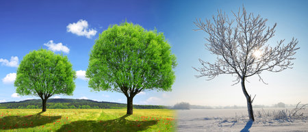 Trees in winter and spring landscape with blue sky. Concept of change season.の写真素材