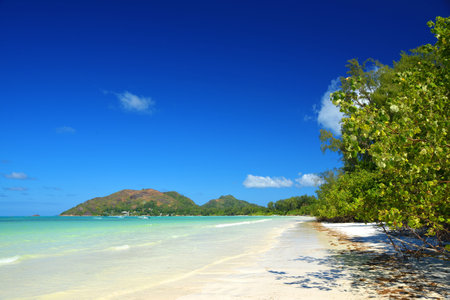 Tropical sand beach Anse Volbert with turquoise sea in island Praslin, Seychelles, Indian Ocean, Africa.の写真素材