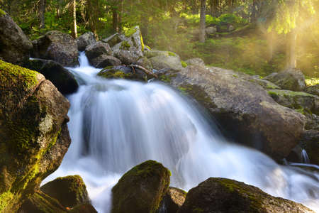 Waterfall on stream in High Tatras mountains, Slovakia.の写真素材