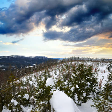 Winter landscape at sunrise. Sumava National Park. View from the Pancir mountain. Czech republic.の写真素材