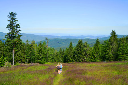 Hikers on a trip in Sumava National Park. Trail from the top of Pancir mountain, Czech Republic.の写真素材