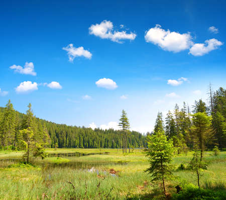 Moraine lake Grosser Arbersee in the Bavarian forest National Park (Bayerische Wald). Summer landscape in Germany.の写真素材