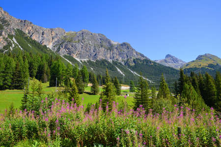Beautiful mountain landscape near town Bergun. Albula Region, canton Graubunden, Switzerland Alps.の写真素材
