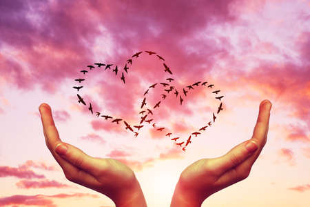 Female hands with flock of birds flying in the heart formation at sunset sky. Valentines day.の写真素材