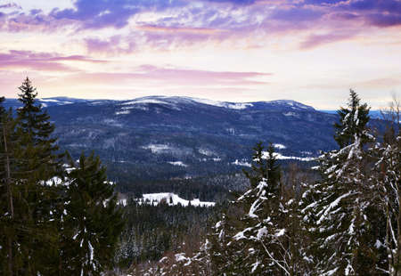 Winter landscape at sunrise. Sumava National Park. View from the Pancir mountain. Czech republic.の写真素材