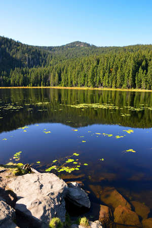 Moraine lake Grosser Arbersee in Bavarian forest National park. Germany.の写真素材