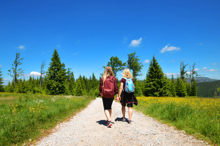 Tourists on trip in the Bayerischer Wald National Park, Germany.の写真素材