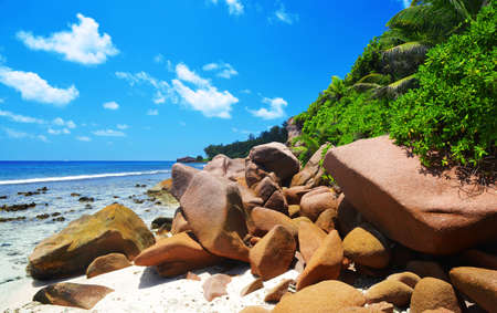 Anse Fourmis beach in La Digue Island, Indian Ocean, Seychelles. Exotic travel destination.の写真素材