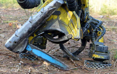 Cutting head of a tree felling harvester close up.の写真素材