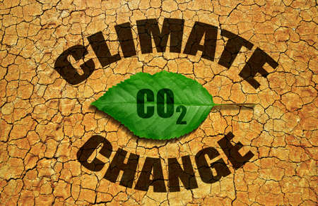 Green leaf on arid cracked soil. Concept of climate change, global warming or growing carbon dioxide in the atmosphere.の写真素材