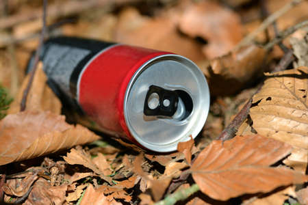 Empty beverage can lies as garbage in the forest. Concept of nature conservation.の写真素材