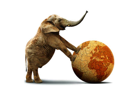 Lonely elephant with dry planet earth isolated on a white background. Climate Change and Global warming concept.の写真素材