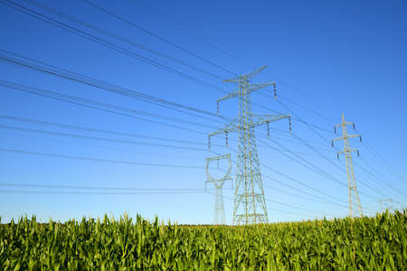 Electric pylons in the corn field. Transmission tower with blue sunny sky at the background.の写真素材