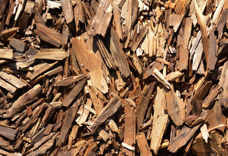 Tree bark splinters close up as background.の写真素材