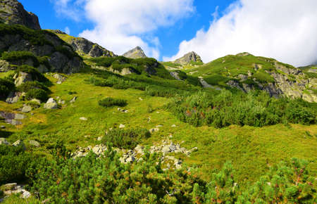 Mengusovska Valley, High Tatras, Slovakia. Mountain landscape in the Western Carpathians.の写真素材