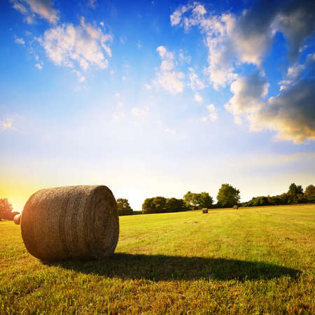 Straw bale on meadow at sunset. Summer rural landscape.の写真素材