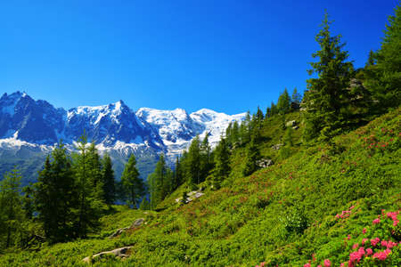 Idyllic landscape with Mont Blanc mountain range in sunny day. Nature Reserve Aiguilles Rouges, Graian Alps, France, Europe.の写真素材