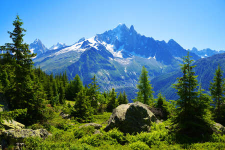 Mount Aiguille Verte in Nature Reserve Aiguilles Rouges, Graian Alps, France, Europe.の写真素材
