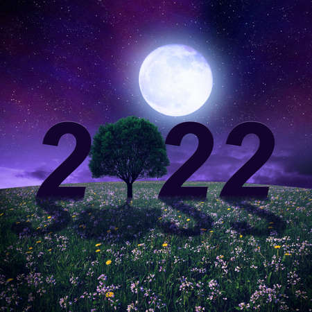 Number 2022 with tree in the meadow at night in full moon light. Concept of Happy New Year.の写真素材