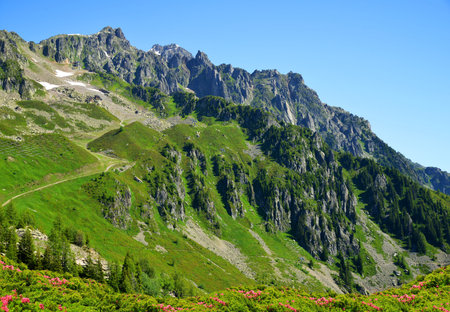 Mountain landscape in the Nature Reserve Aiguilles Rouges, Graian Alps, France, Europe.の写真素材