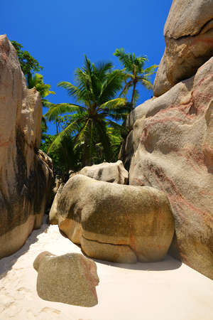 Tropical beach with big granite boulders on Coco Island, Indian Ocean, Seychelles. Exotic destinations.の写真素材