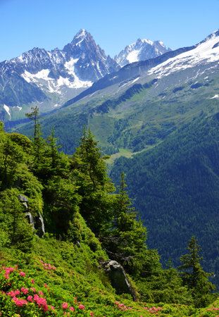 Summer mountain landscape. Mount Aiguille du Chardonnet and Aiguille d'Argentiere, Nature Reserve Aiguilles Rouges, Graian Alps, France, Europe.の写真素材