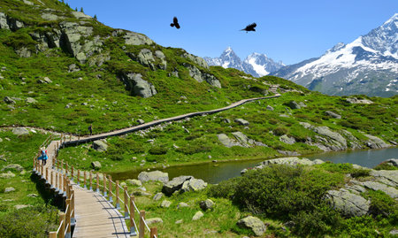Hikers on trip in the Nature Reserve Aiguilles Rouges, French Alps, France, Europe.の写真素材
