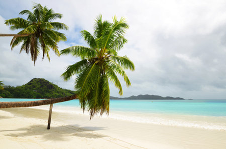 Tropical sand beach Anse Volbert with turquoise sea in the island Praslin, Seychelles, Indian Ocean, Africa.の写真素材