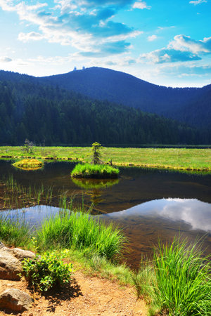 Kleiner Arbersee lake in the National park Bayerische Wald, Bavaria, Germany.の写真素材
