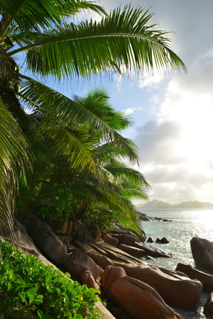 Anse Severe beach at sunset, Indian ocean, Seychelles. Tropical destination.の写真素材