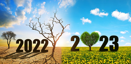 Number 2022 in dry country with cracked soil and 2023 in the field of dandelions. Concept of Happy New Year. Global warming or climate change theme.の写真素材