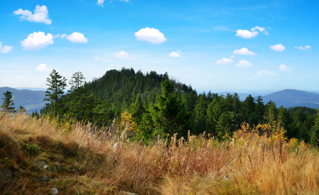 View on the mount Klein Osser in the National park Bayerischer Wald, Germany.の写真素材