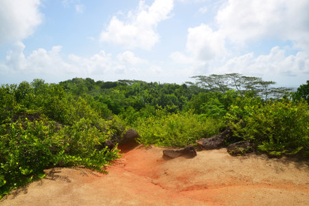 View from mountain Nid d'Aigle in the La Digue island, Seychelles.の写真素材