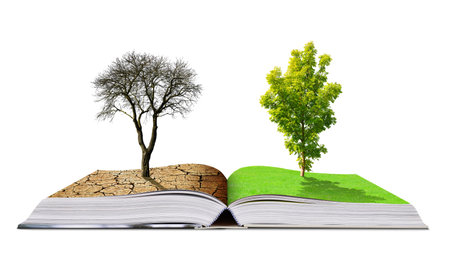 Open book with live and dead tree isolated on a white background. Global warming or climate change concepts.の写真素材