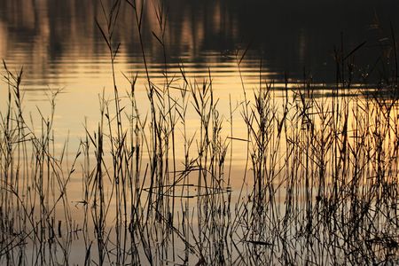 sunrise reflection through the thatch