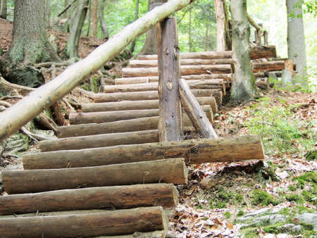 wooden stairs from logs in the natural protected landscape area of the ReÅ¡ov waterfalls in...