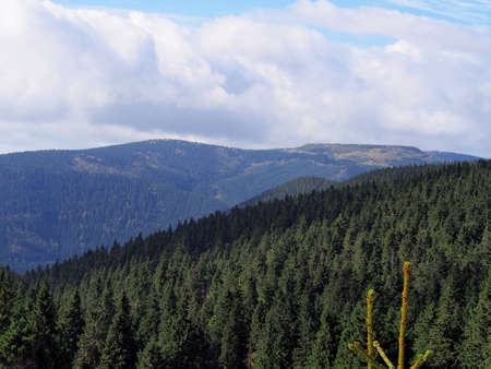 view of forest with mountains and blue sky with white clouds in the background on an autumn sunny...