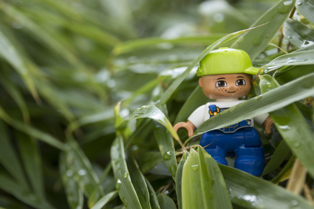 Camouflage toyの写真素材