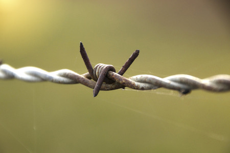 barbed wireの写真素材