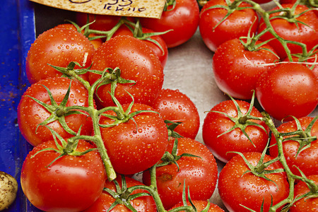 Red and fresh tomatoesの写真素材