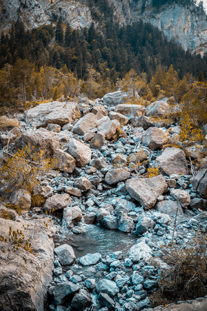 Colors of nature at Switzerlandの写真素材