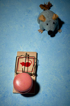 pictures of a sweet french dessertの写真素材