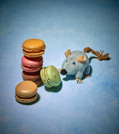 pictures of a sweet french dessertの写真素材