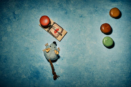 pictures of a sweet french dessertの写真素材